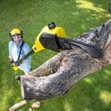 Best Lawn Watering Services  in Woodville, CA